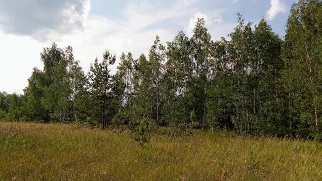 Купить земельный участок в районе Никуличи в Рязани. Вариант № 1390862, 1, площадь - квм, цена 600000 рублей