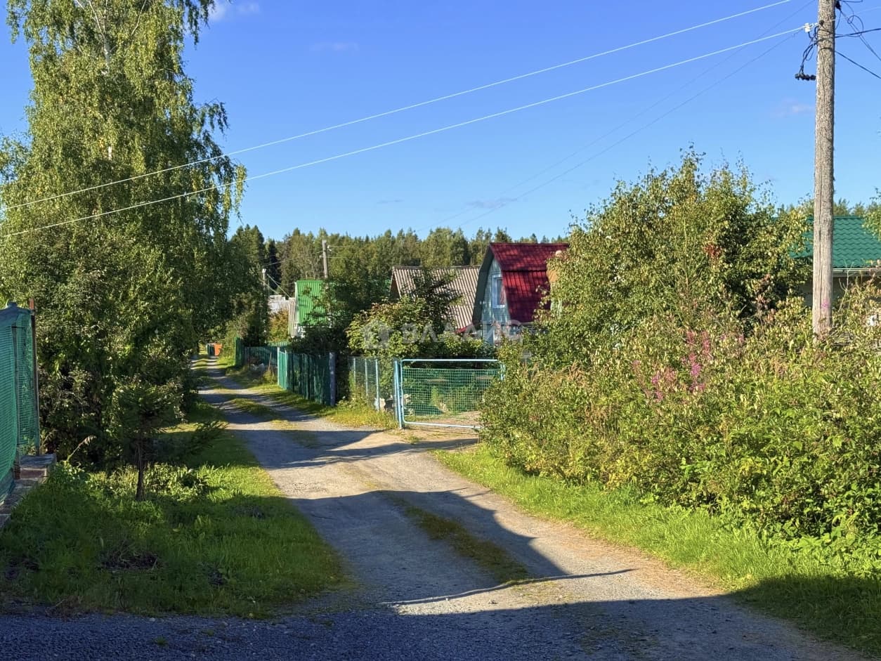 Photo 29