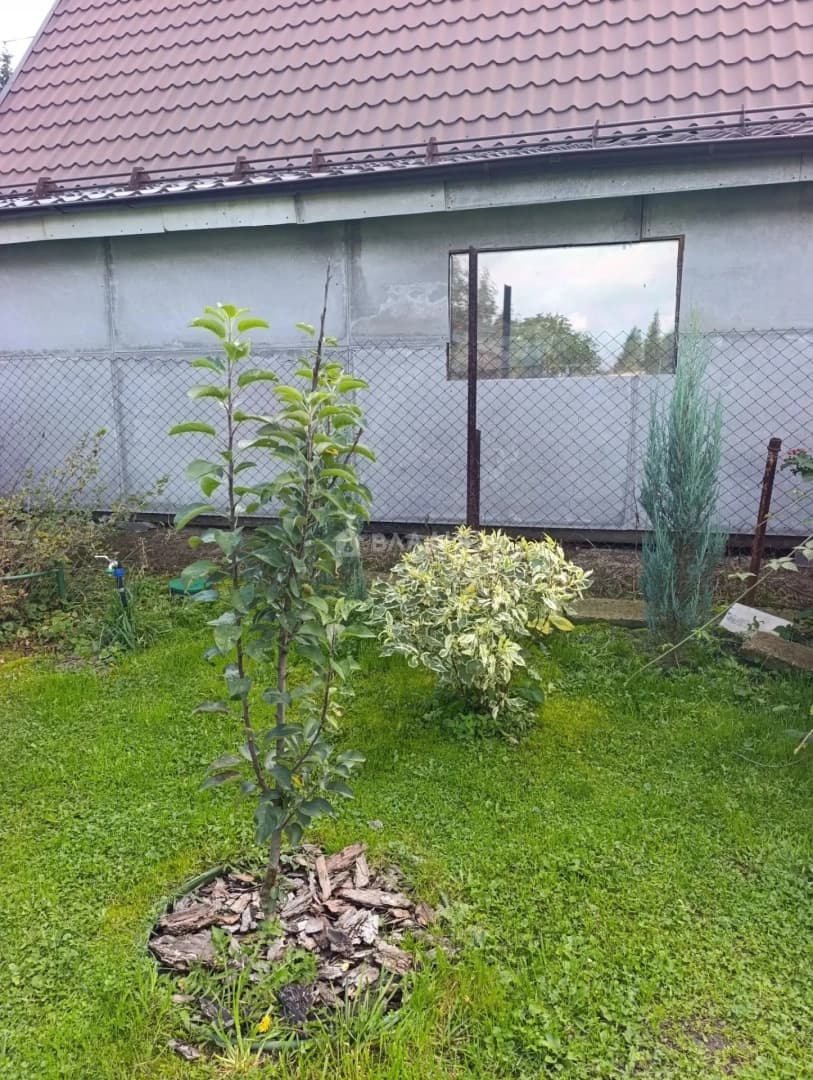 Photo 43