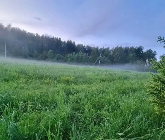 Купить земельный участок в Деревне Горицах в Селивановском Муниципальном Округе в Владимирской области. Вариант № 2212352, 1, площадь - квм, цена 380000 рублей