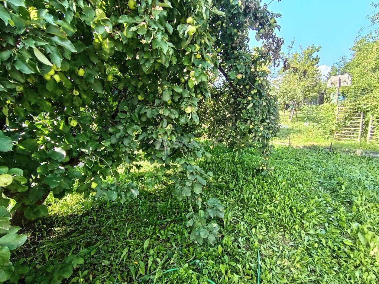Photo 31