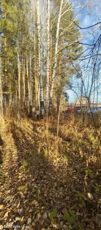 Купить земельный участок в Посёлоке Городского Типе Васильеве в Зеленодольском районе в Республике Татарстан (татарстан). Вариант № 2400178, 0, площадь - квм, цена 2500000 рублей
