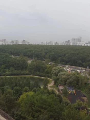 Купить квартиру с ремонтом у метро Филевский парк в Москве. Вариант № 2378133, 1, площадь - квм, цена 33500000 рублей