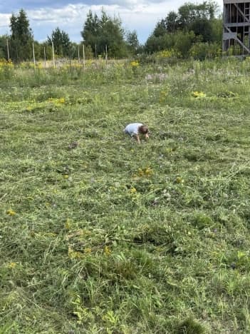 Купить земельный участок в Нижегородской области. Вариант № 2224516, 0, площадь - квм, цена 1180000 рублей