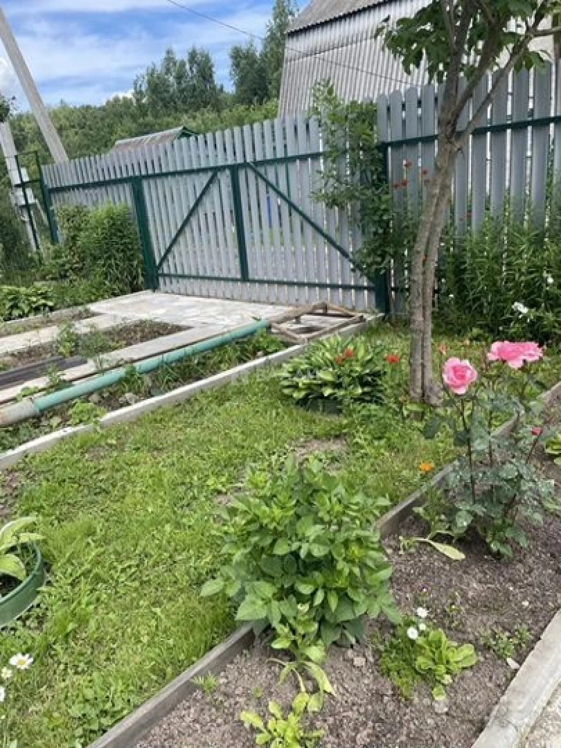 Photo 13