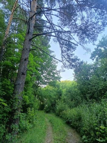 Купить дачу в Пензенской области. Вариант № 2282499, 1, площадь - квм, цена 490000 рублей