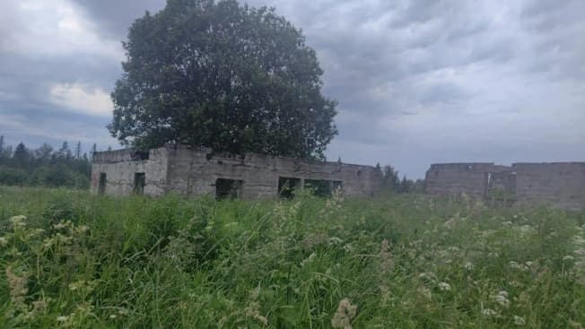 Купить земельный участок в Республике Карелия. Вариант № 2313932, 1, площадь - квм, цена 18000000 рублей