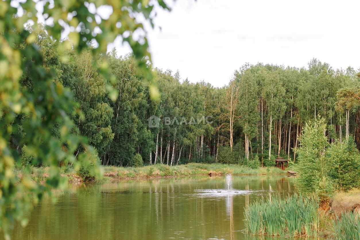 Photo 43