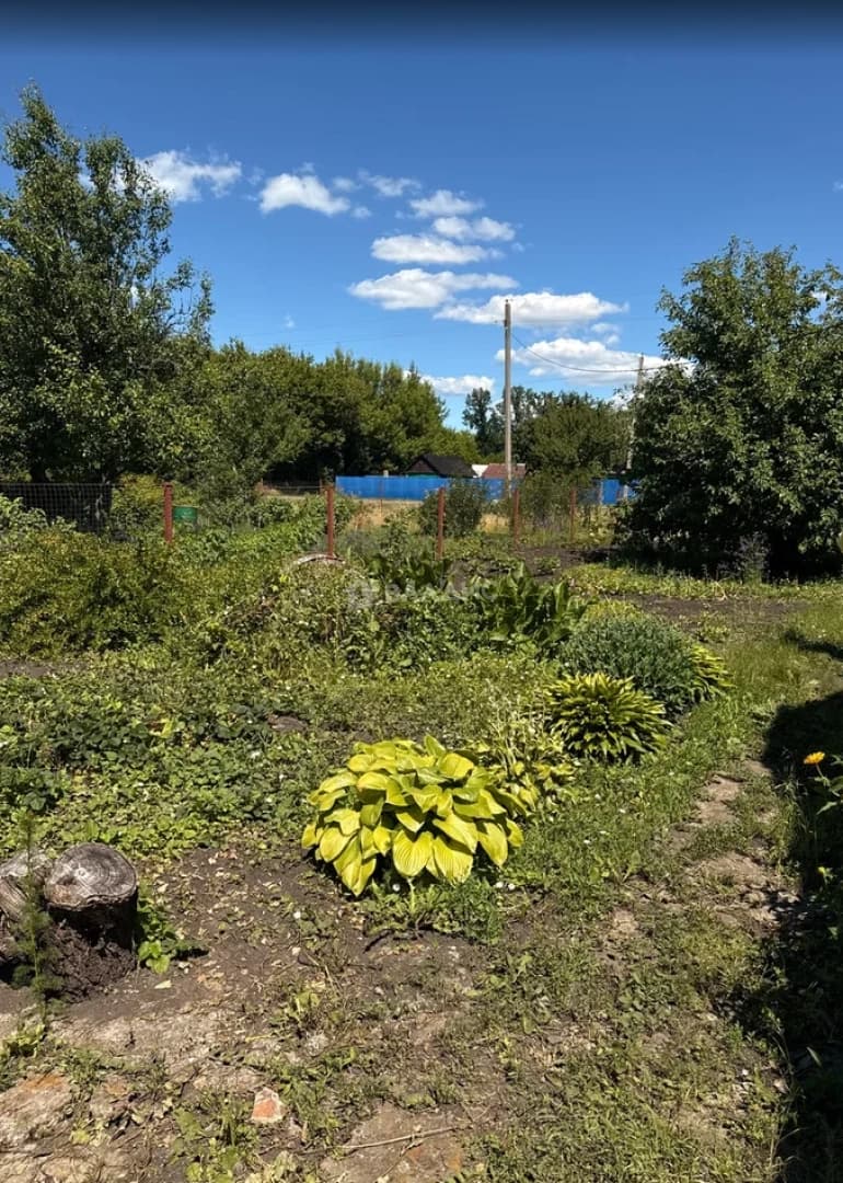 Photo 20