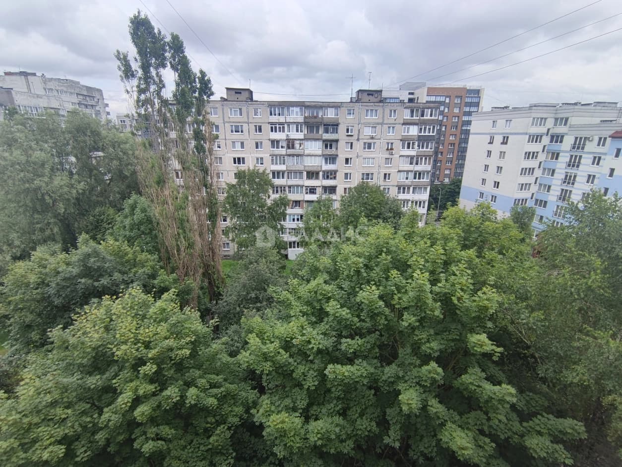 Photo 35