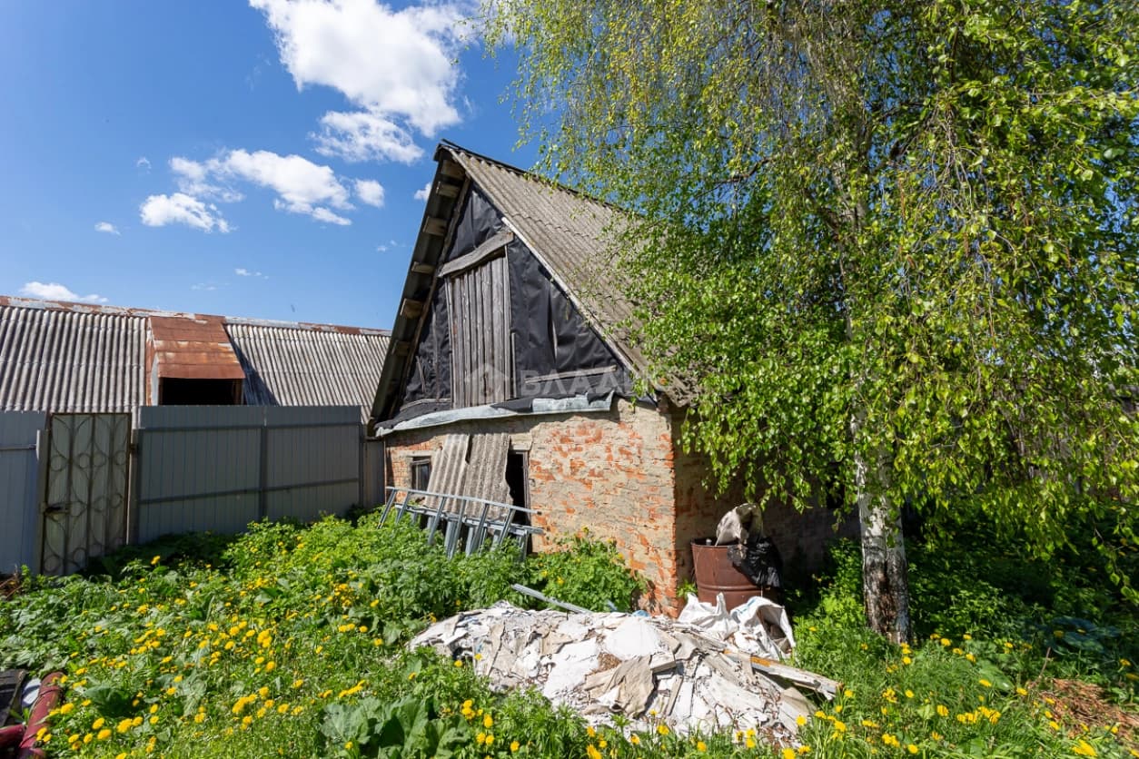 Photo 6