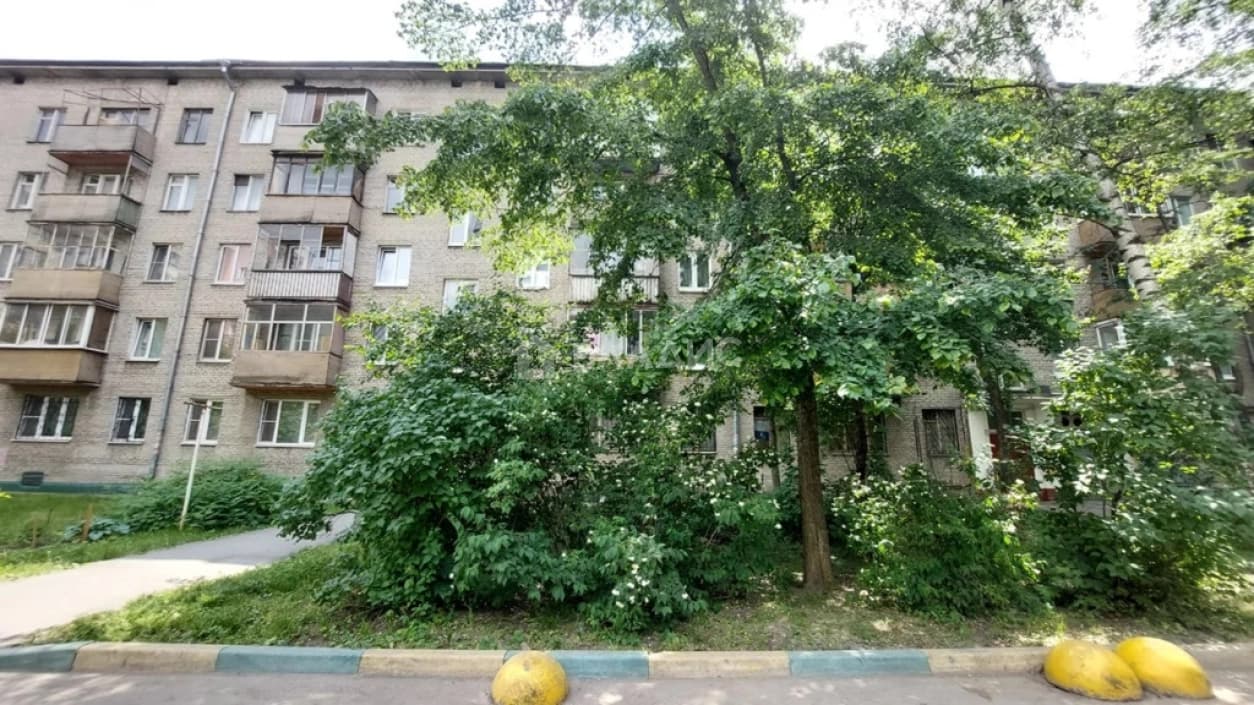Photo 5