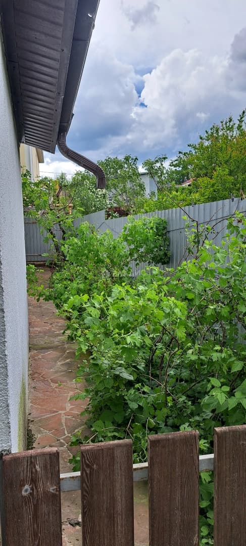 Photo 34