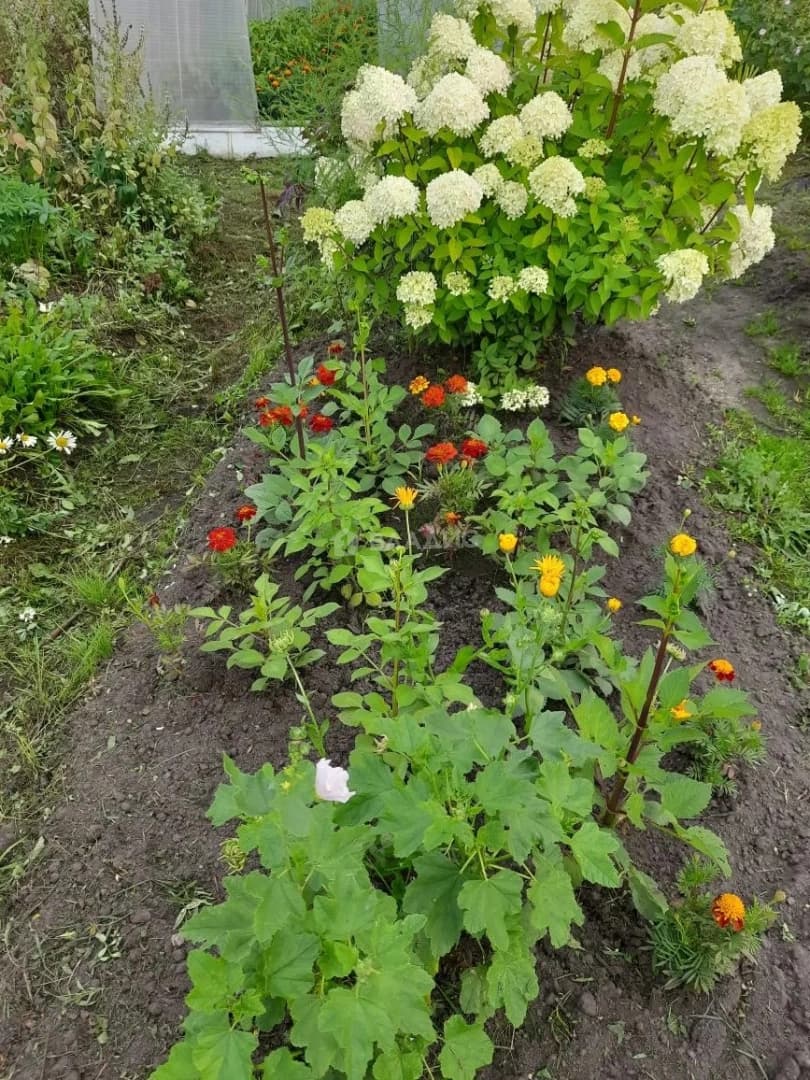 Photo 4