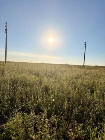 Купить земельный участок в Деревне Новогрудинине в Иркутском Муниципальном Округе в Иркутской области. Вариант № 2251822, 0, площадь - квм, цена 450000 рублей