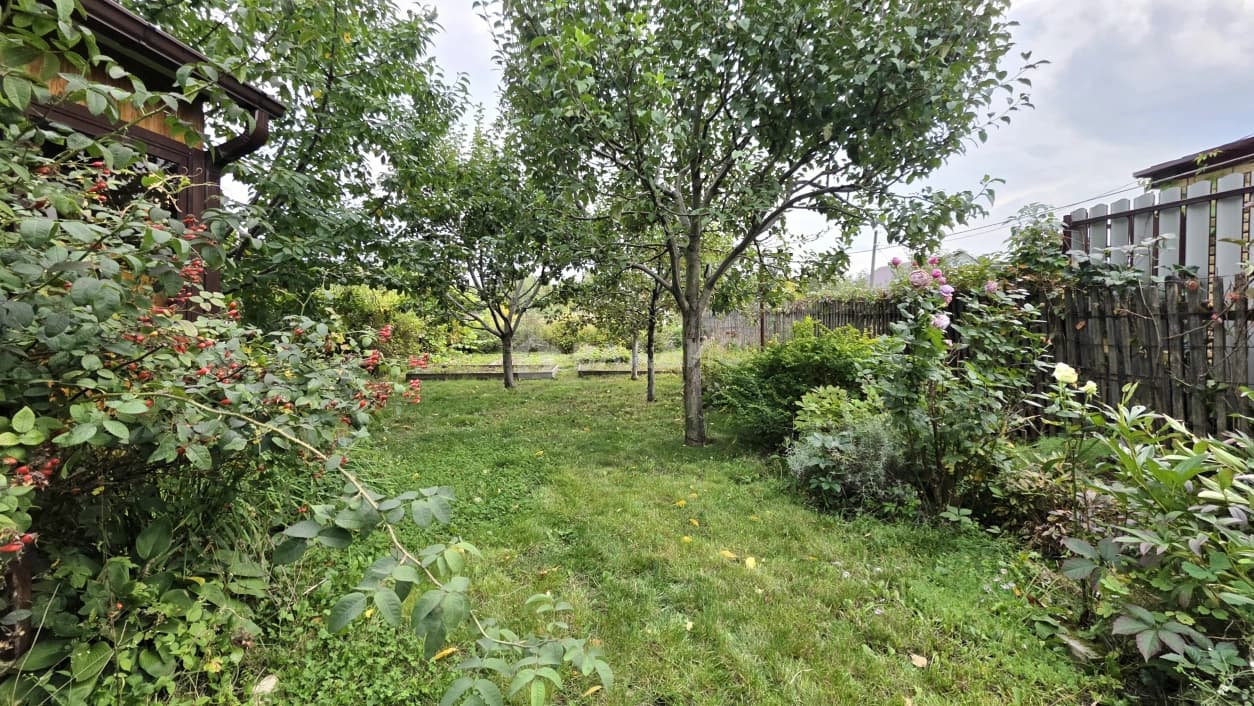 Photo 49