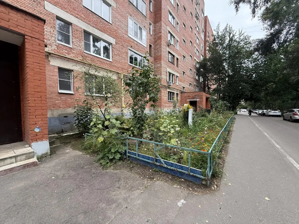 Photo 19