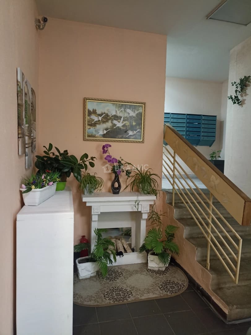 Photo 44