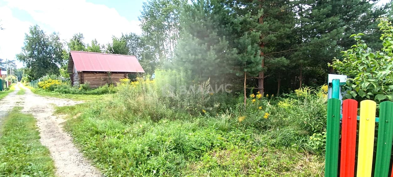 Photo 31