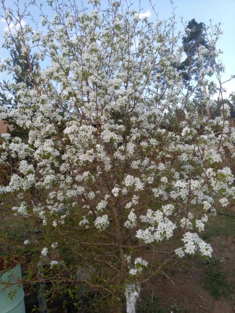 Photo 22