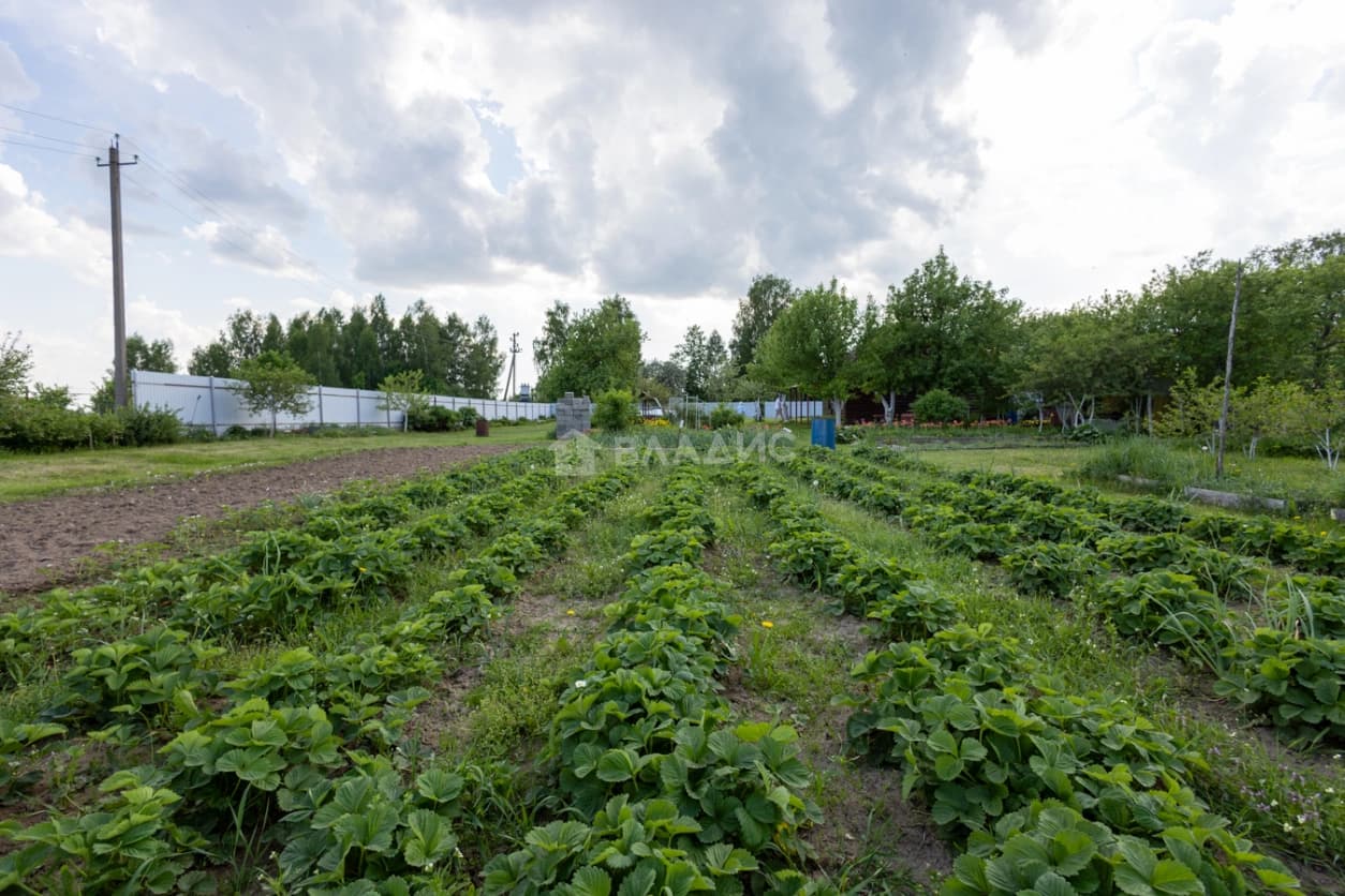 Photo 45