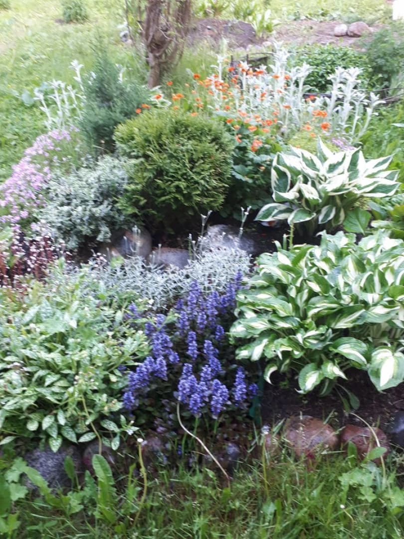 Photo 19