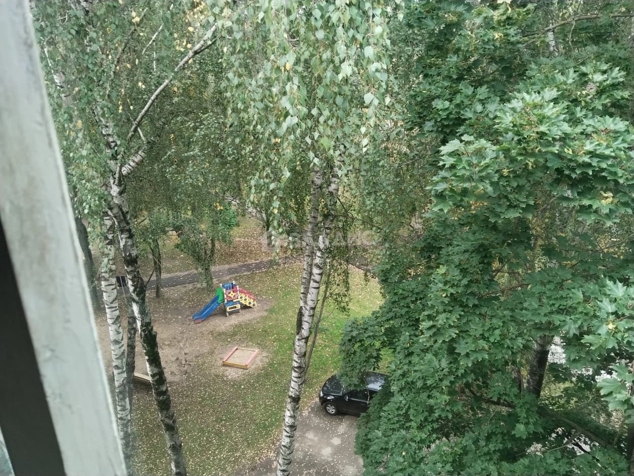 Photo 9