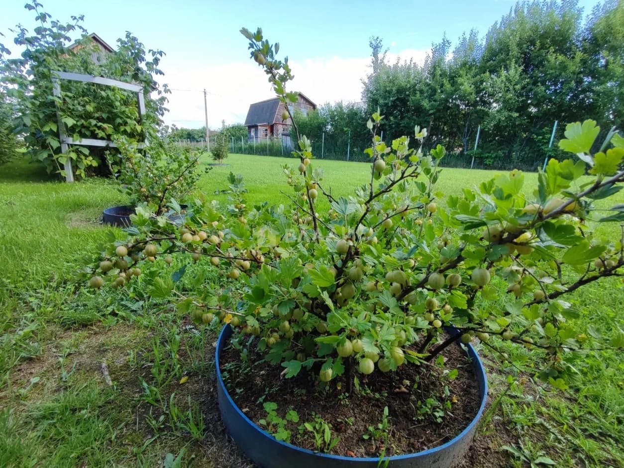 Photo 13