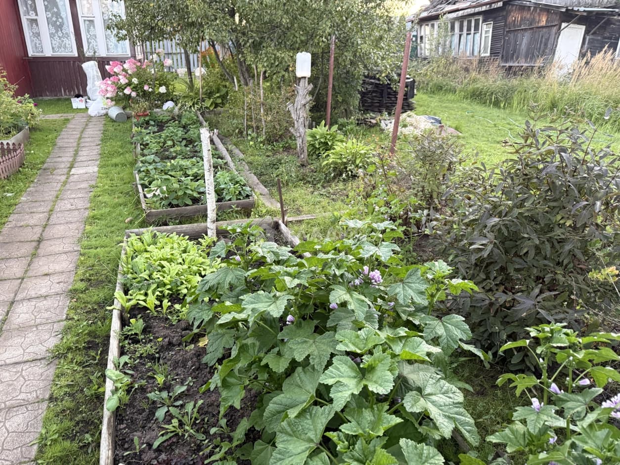 Photo 25