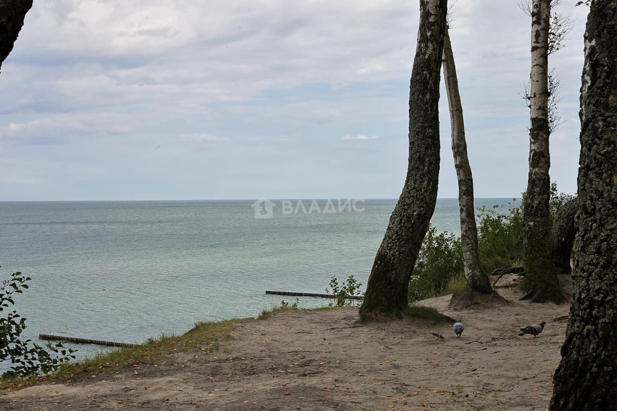 Photo 33