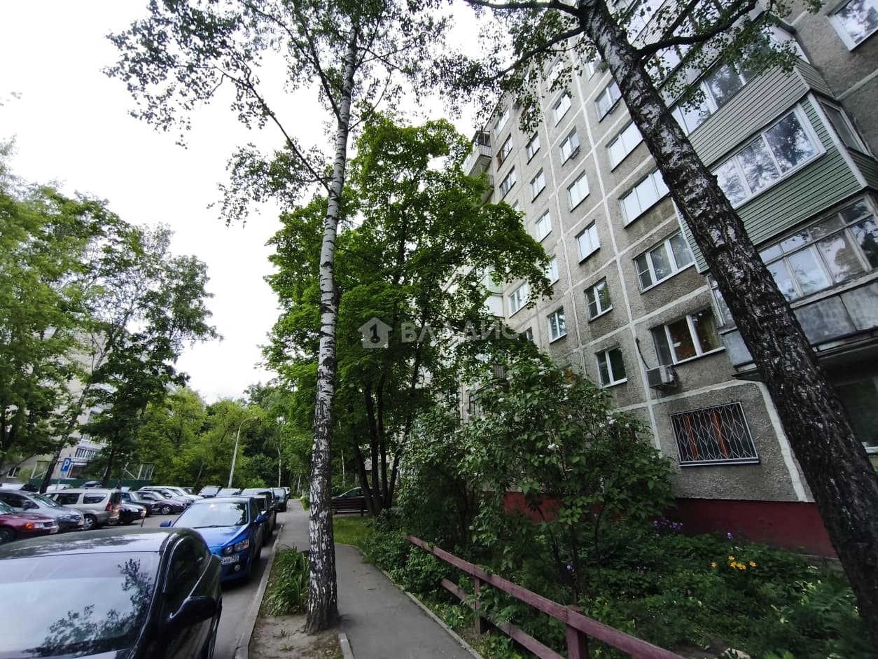 Photo 11