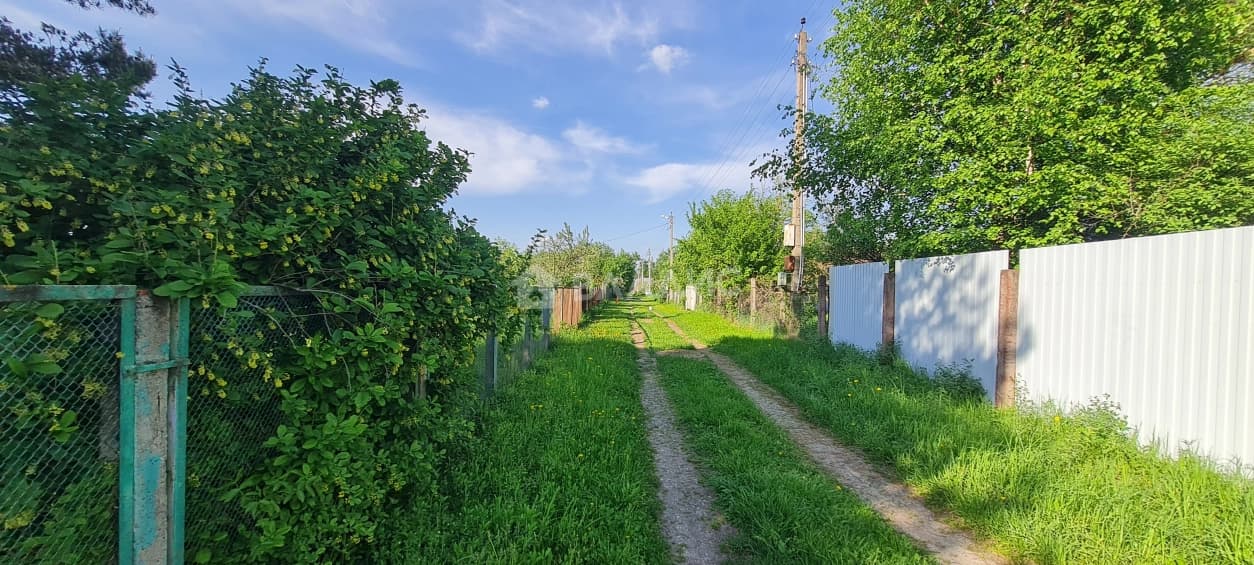 Photo 29