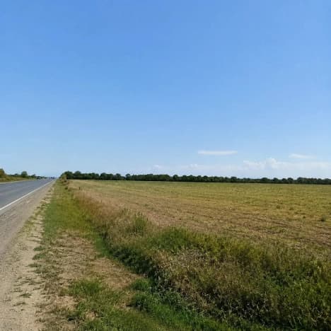Купить земельный участок в Азовском районе в Ростовской области. Вариант № 2247639, 0, площадь - квм, цена 5250000 рублей