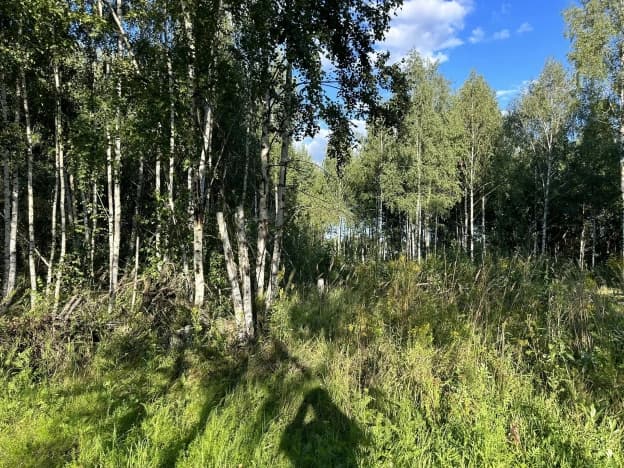Купить земельный участок в Деревне Алтухове в Клепиковском районе в Рязанской области. Вариант № 2305936, 0, площадь - квм, цена 700000 рублей