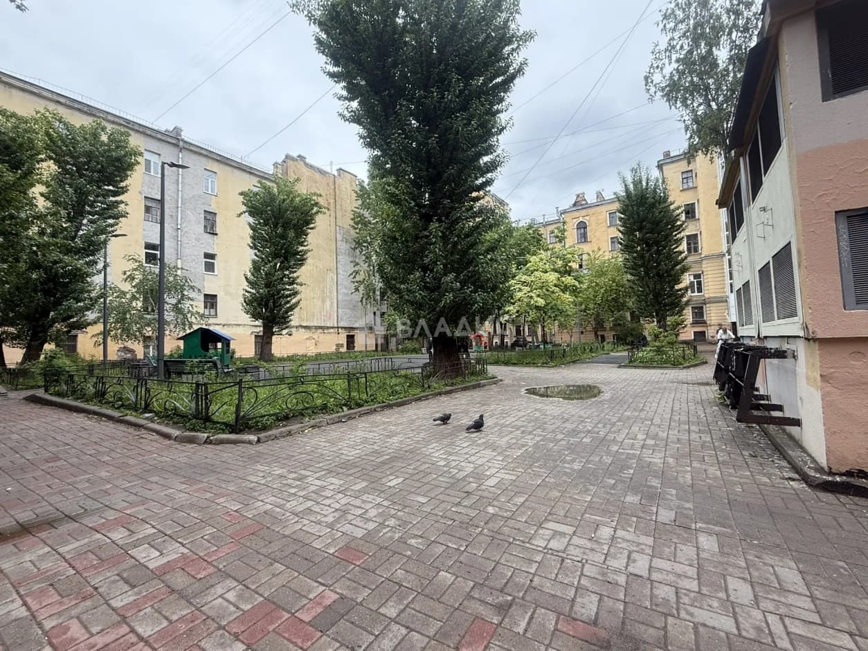 Photo 28