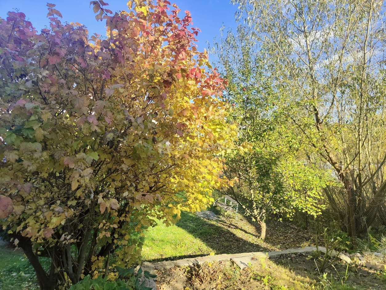 Photo 31