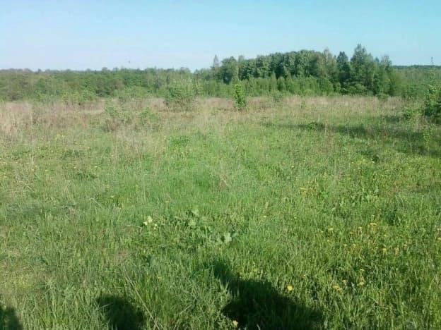 Купить земельный участок в селе Захарово в Раменском Муниципальном Округе в Московской области. Вариант № 2204991, 1, площадь - квм, цена 1200000 рублей