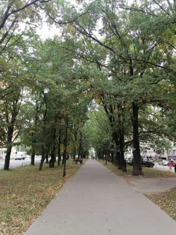 Купить квартиру в селе Софьино в Раменском Муниципальном Округе на улице Новая , село Софьино в Московской области. Вариант № 2340016, 1, площадь - квм, цена 5399000 рублей