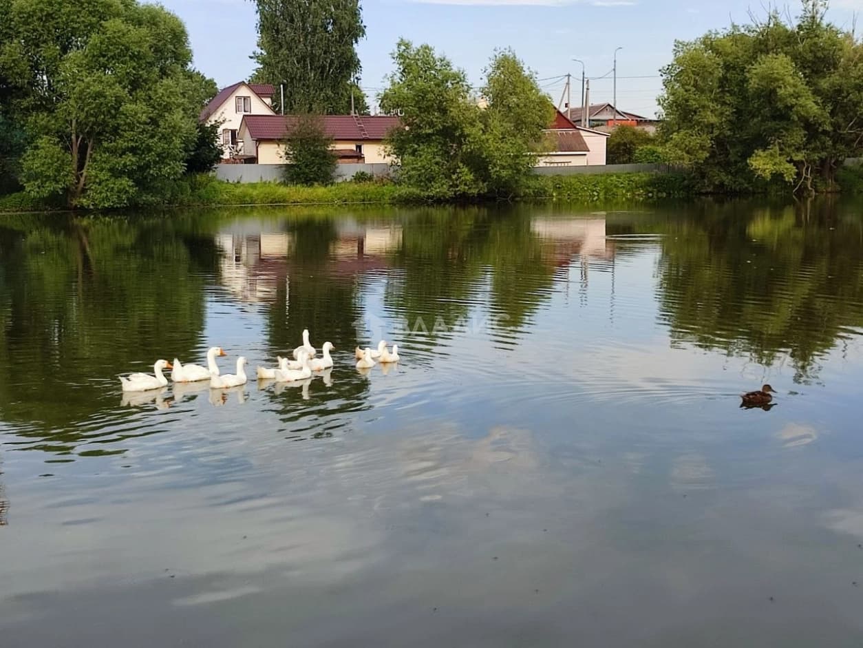 Photo 40