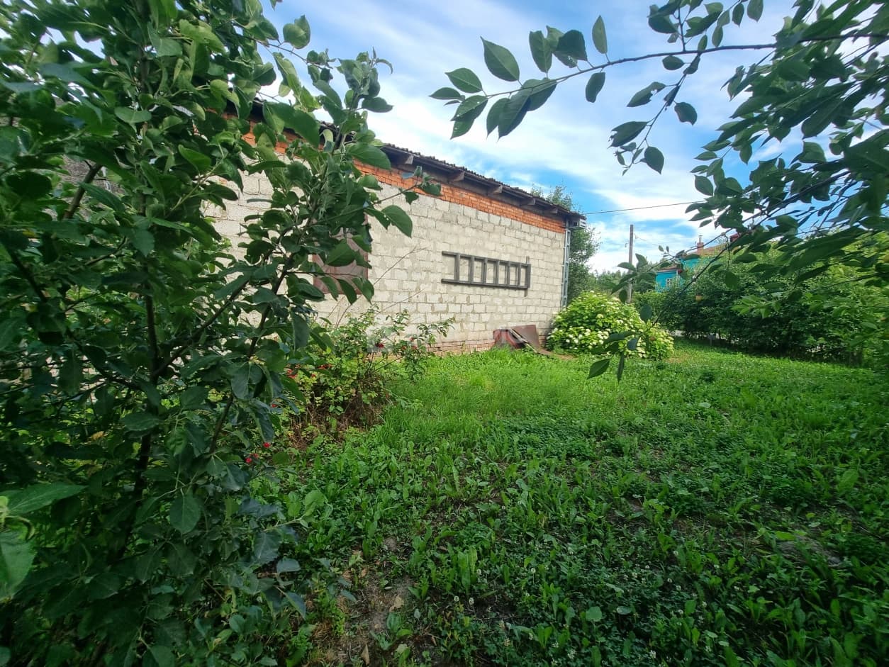 Photo 4