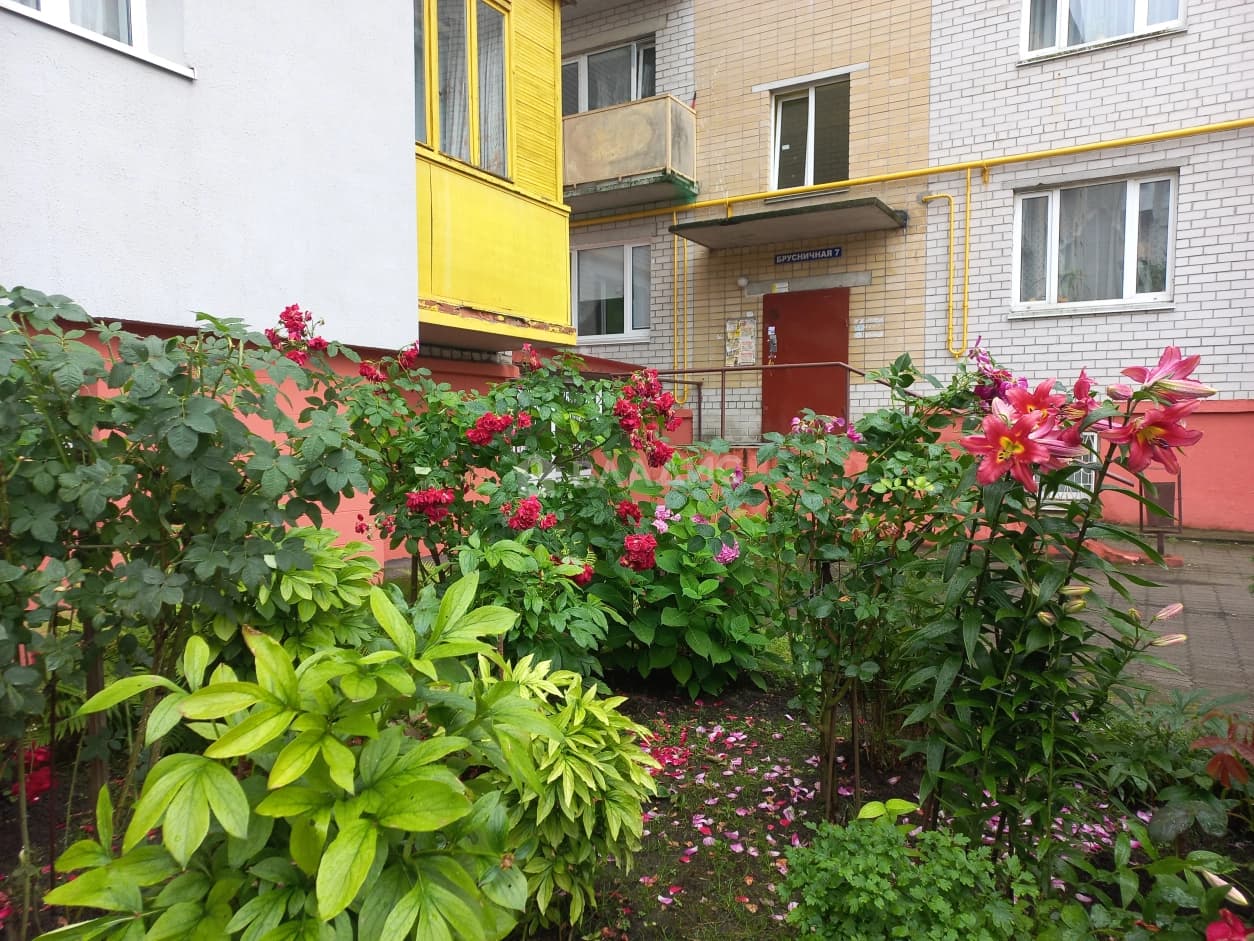 Photo 22