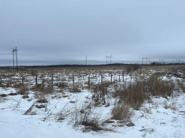 Купить земельный участок в ЛПХ в Тобольске. Вариант № 1390017, 0, площадь - квм, цена 250000 рублей
