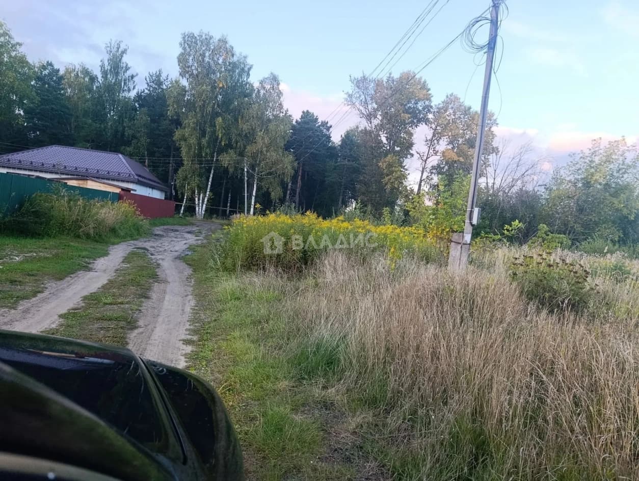 Photo 29