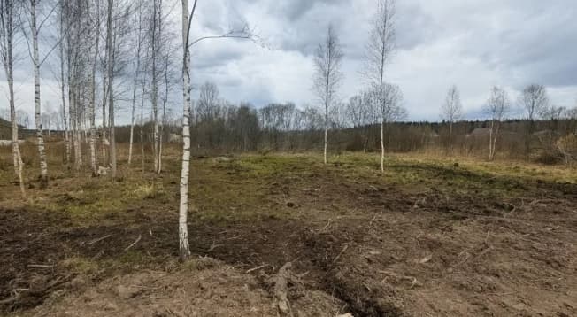 Купить земельный участок в Посёлоке Подборовье в Выборгском районе в Ленинградской области. Вариант № 2201406, 0, площадь - квм, цена 5100000 рублей