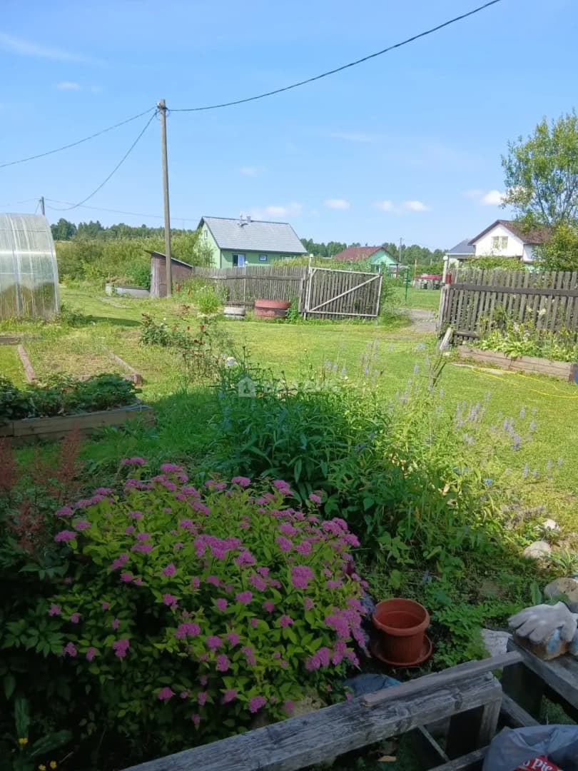 Photo 20