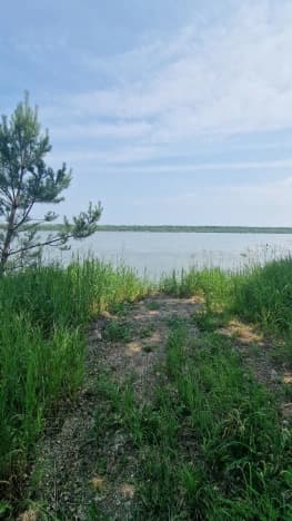 Купить земельный участок в СНТ в Новосибирской области. Вариант № 2240261, 1, площадь - квм, цена 1200000 рублей
