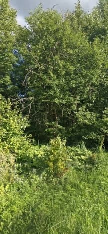Купить земельный участок в Деревне Панине в Муниципальном Округе Егорьевске в Московской области. Вариант № 2222893, 0, площадь - квм, цена 600000 рублей