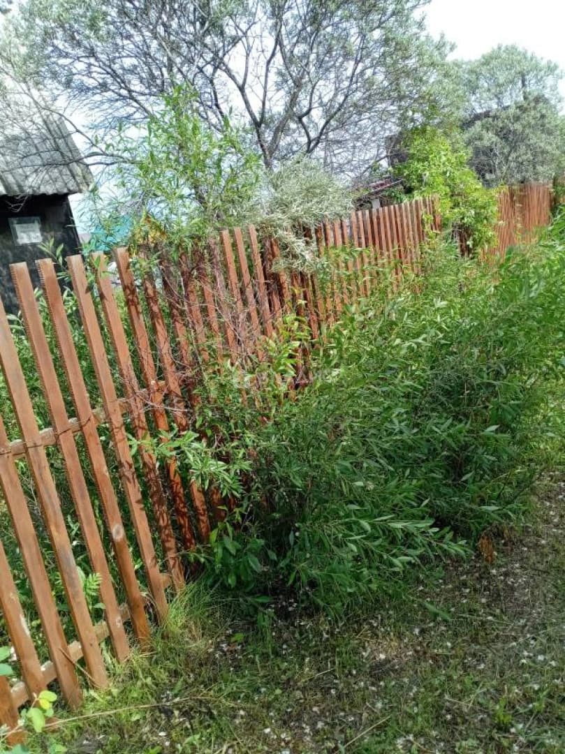 Photo 22