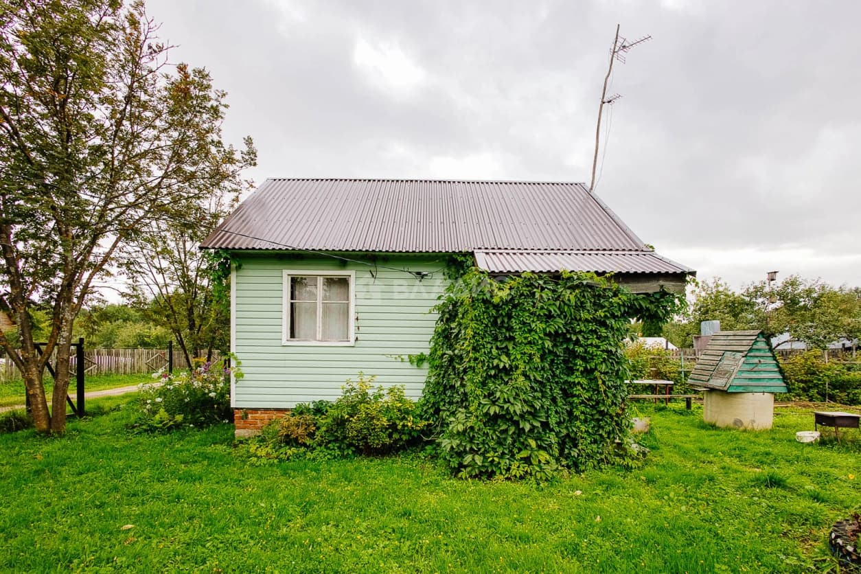 Photo 6