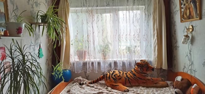 Купить квартиру недорого в Владимирской области. Вариант № 2286852, 1, площадь - квм, цена 2500000 рублей